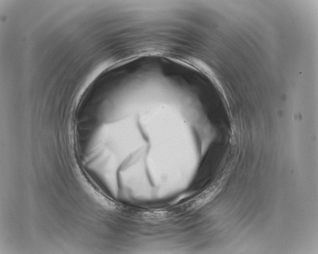 X0000075360859200609291459