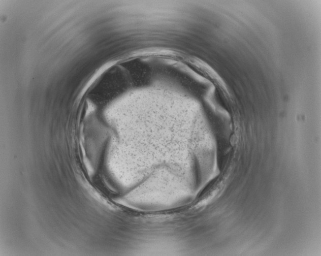 X0000075360860200609291459