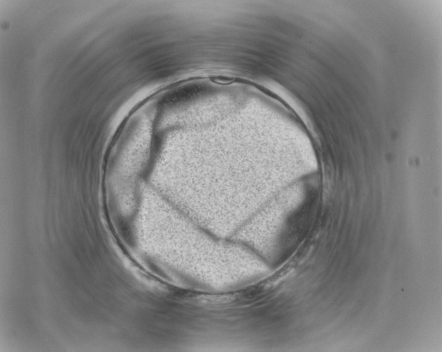 X0000075360861200609291459