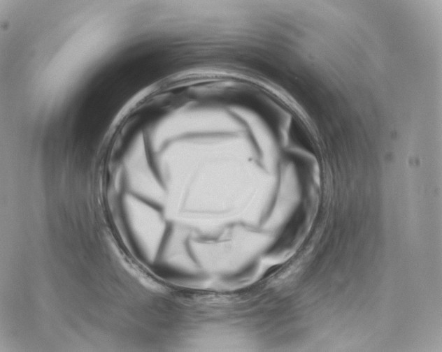 X0000075360862200609291459