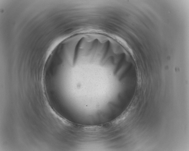 X0000075360863200609291459