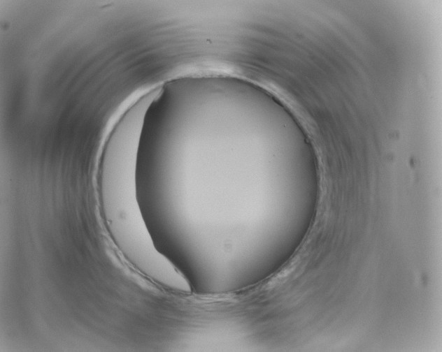 X0000075360864200609291459