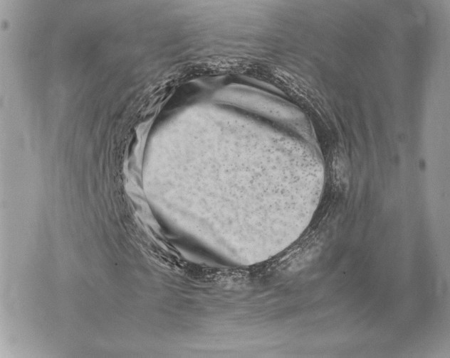 X0000075360865200609291458