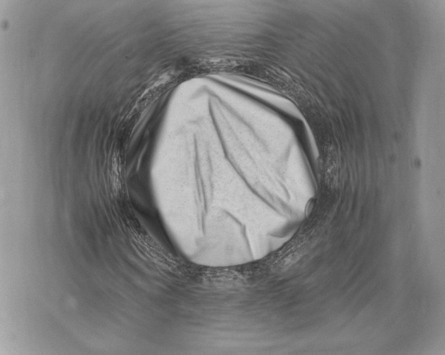 X0000075360866200609291458