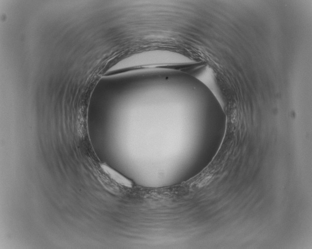 X0000075360868200609291458