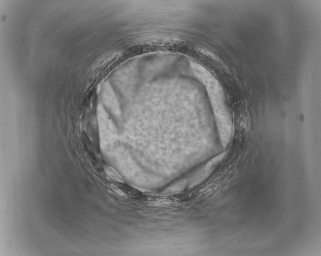 X0000075360869200609291458