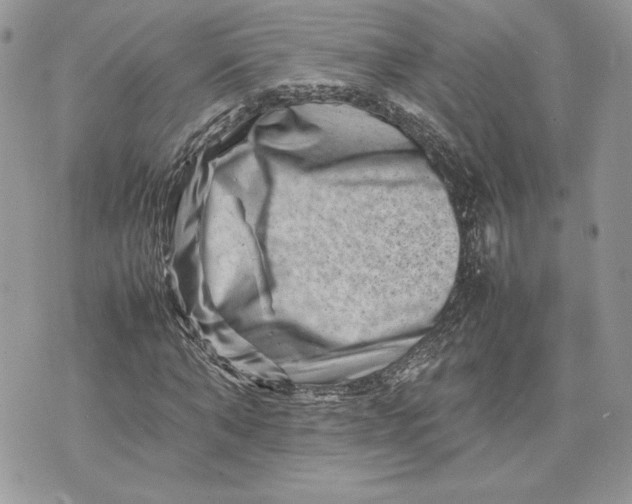 X0000075360870200609291458