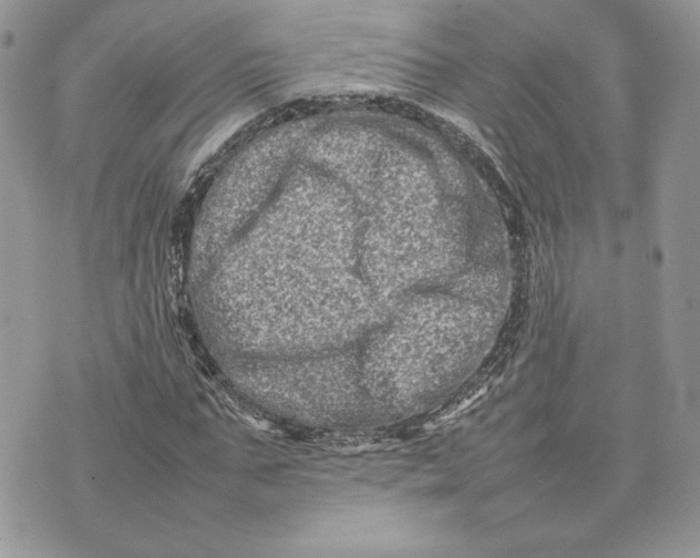 X0000075360871200609291458