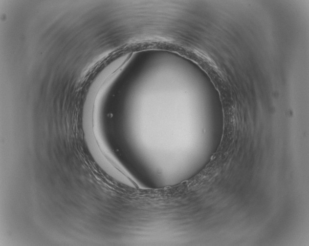 X0000075360872200609291458