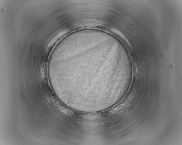 X0000075360874200609291458