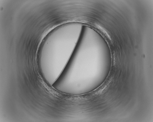 X0000075360876200609291458