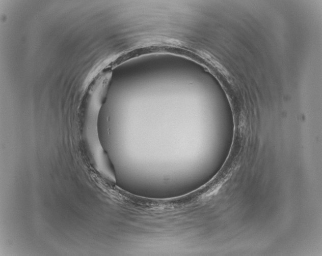 X0000075360877200609291458