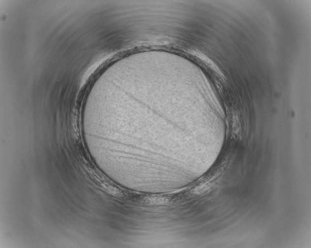 X0000075360878200609291458