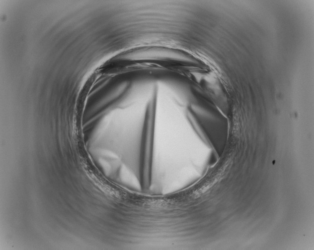 X0000075360880200609291458