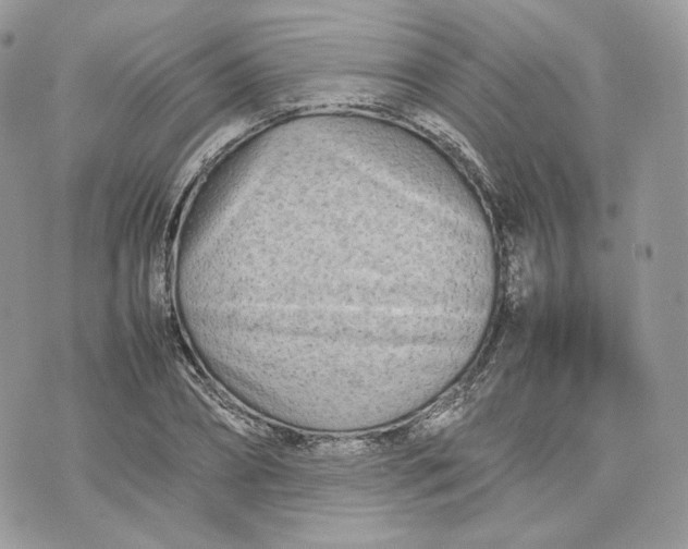 X0000075360882200609291458