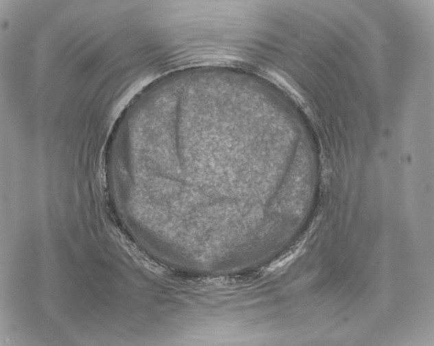 X0000075360883200609291458