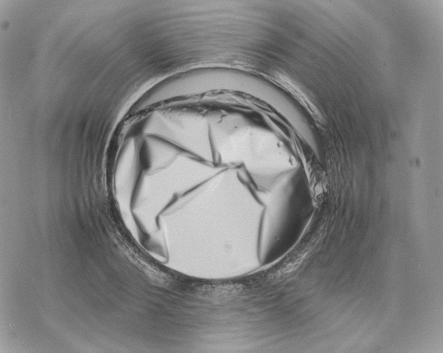 X0000075360884200609291458