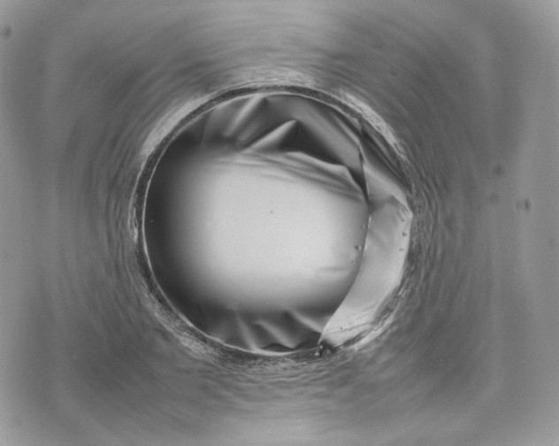 X0000075360885200609291458