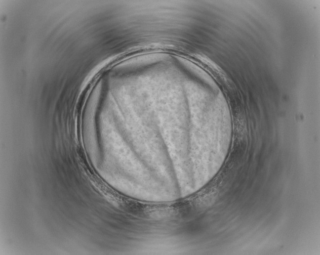 X0000075360886200609291458