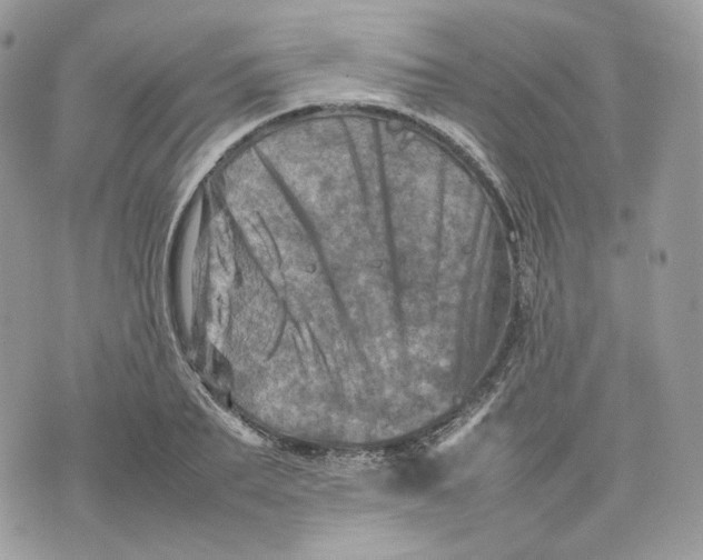 X0000075360887200609291458