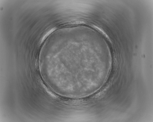 X0000075360889200609291458