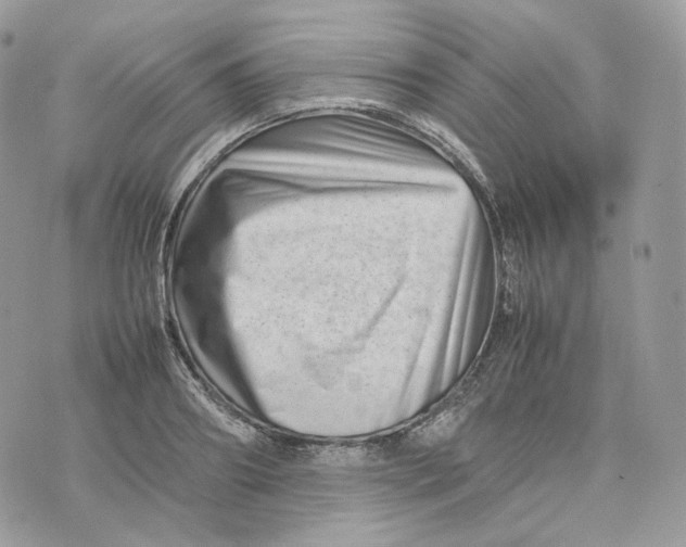 X0000075360890200609291458