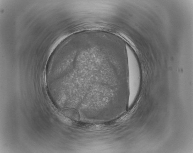 X0000075360891200609291458