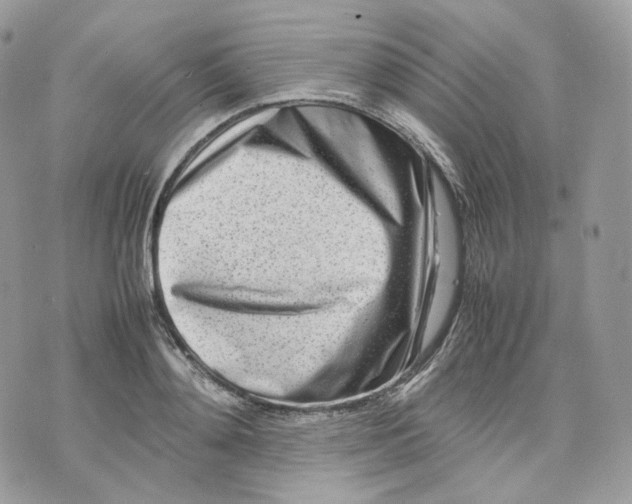 X0000075360892200609291458