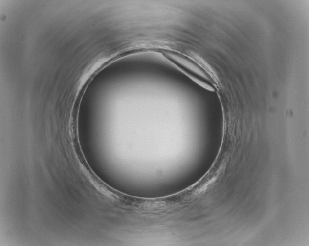 X0000075360893200609291458