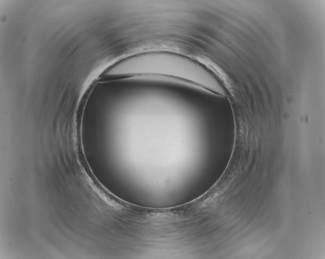 X0000075360894200609291458