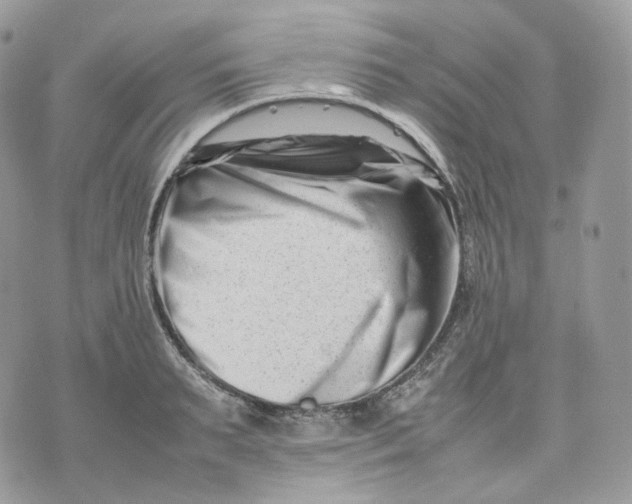 X0000075360895200609291458