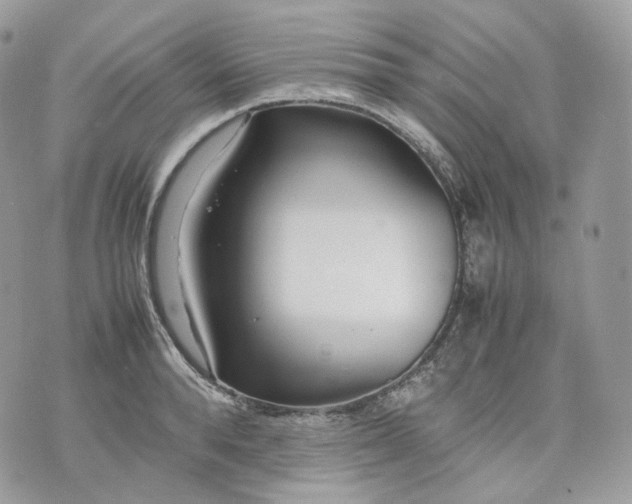 X0000075360896200609291458