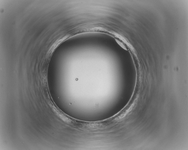 X0000075360897200609291458