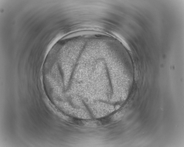 X0000075360899200609291458