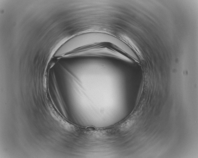 X0000075360900200609291458