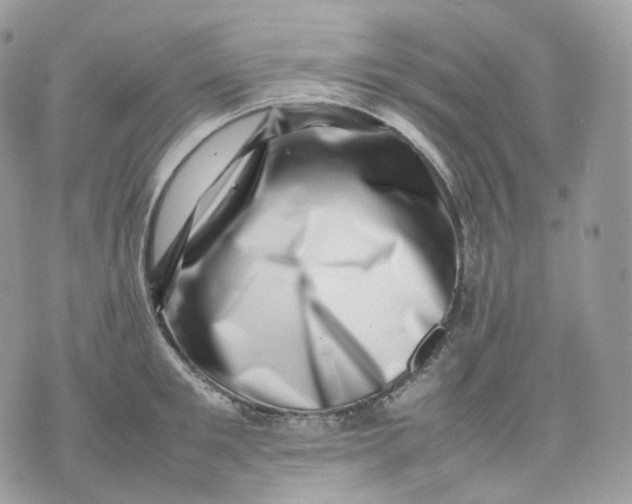 X0000075360901200609291458