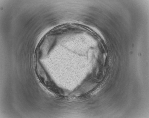 X0000075360903200609291458