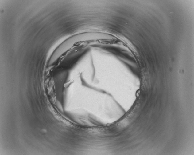 X0000075360904200609291458