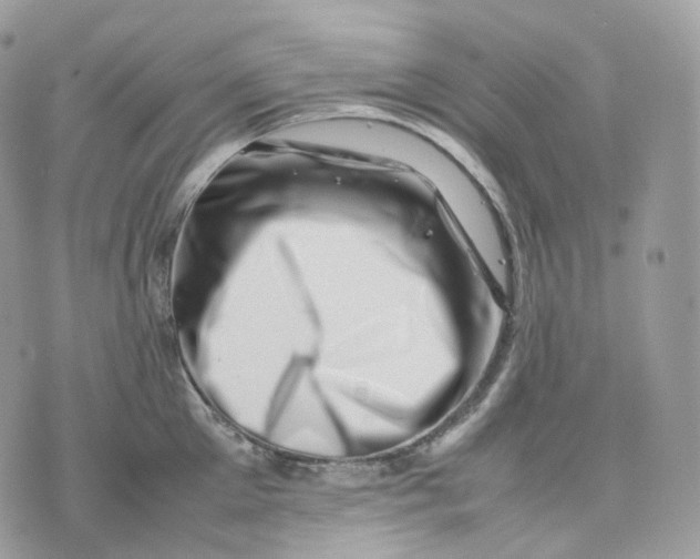 X0000075360905200609291458