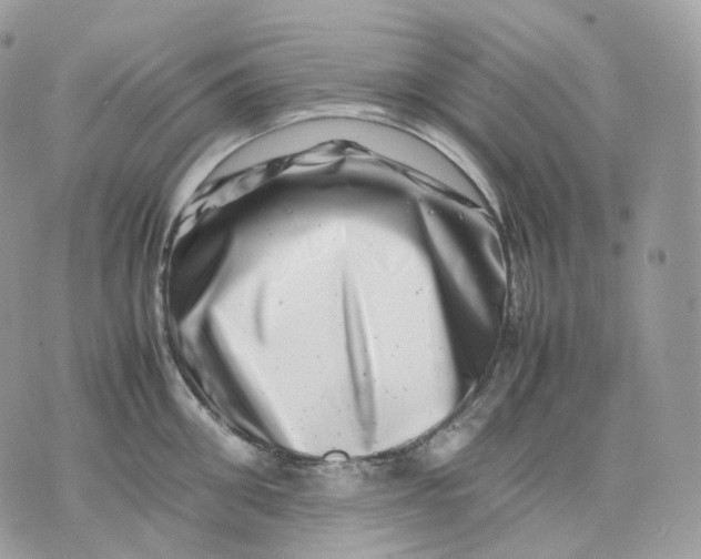 X0000075360906200609291458