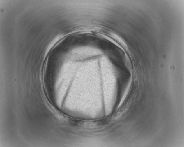 X0000075360907200609291458