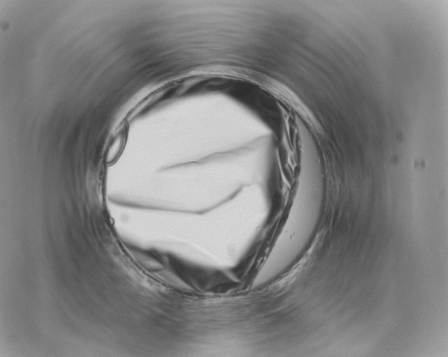 X0000075360908200609291458