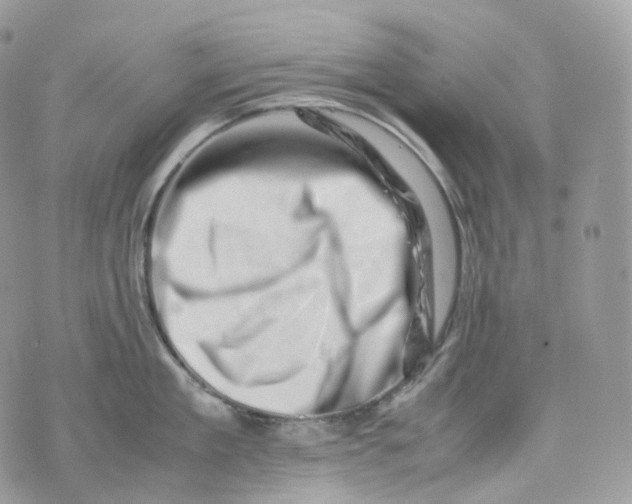 X0000075360909200609291458