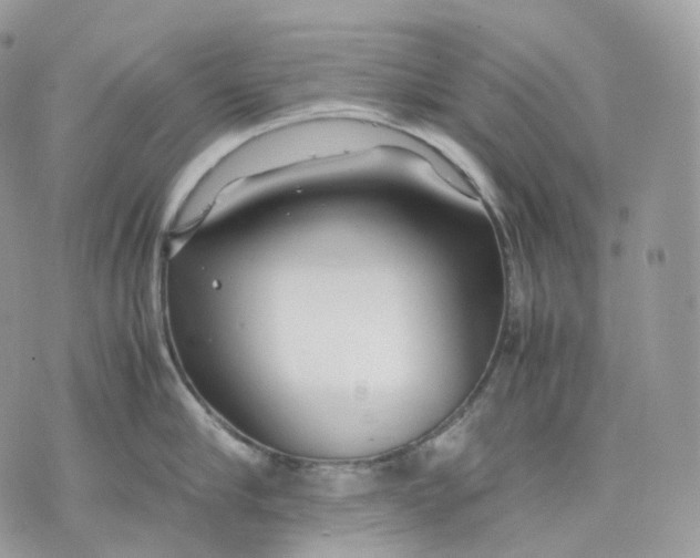 X0000075360910200609291458