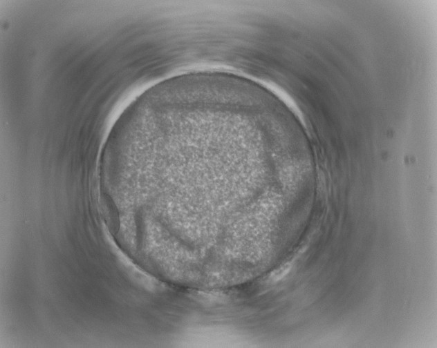 X0000075360911200609291458