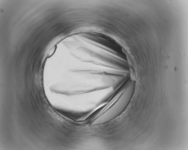 X0000075360912200609291458