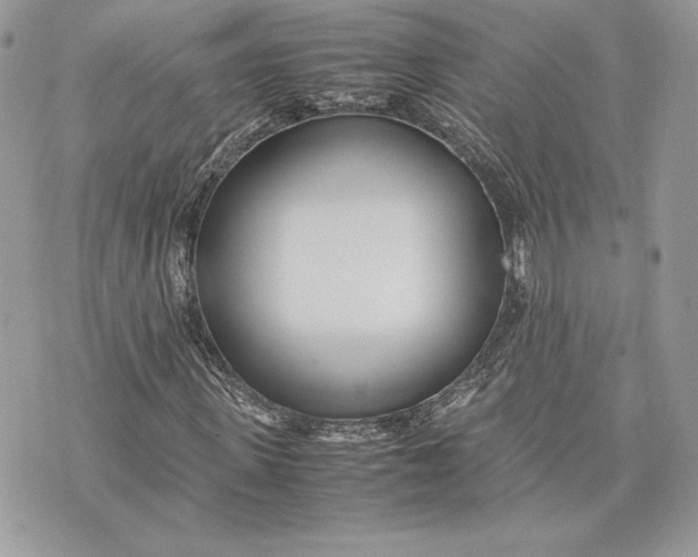 X0000075360915200609291457