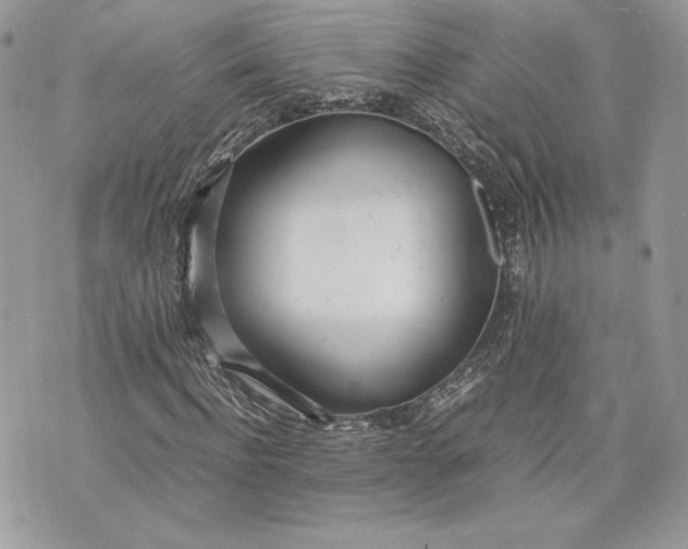 X0000075360916200609291457