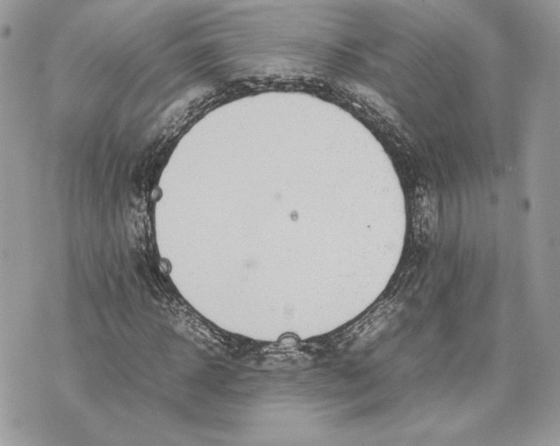 X0000075360918200609291457