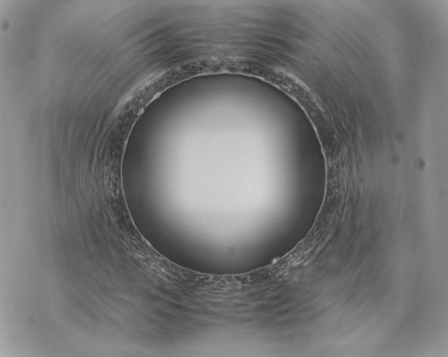 X0000075360919200609291457